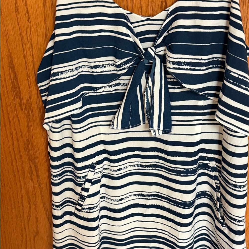 CAbi Blue and White Striped Dress